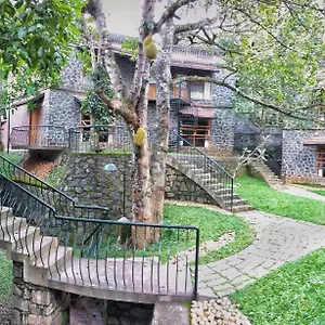 Bed & Breakfast Wildernest